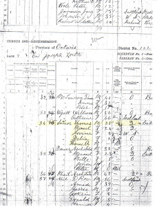 Thomas Seymour 1881 Census