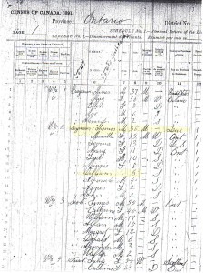Thomas Seymour 1891 Census - Page 1